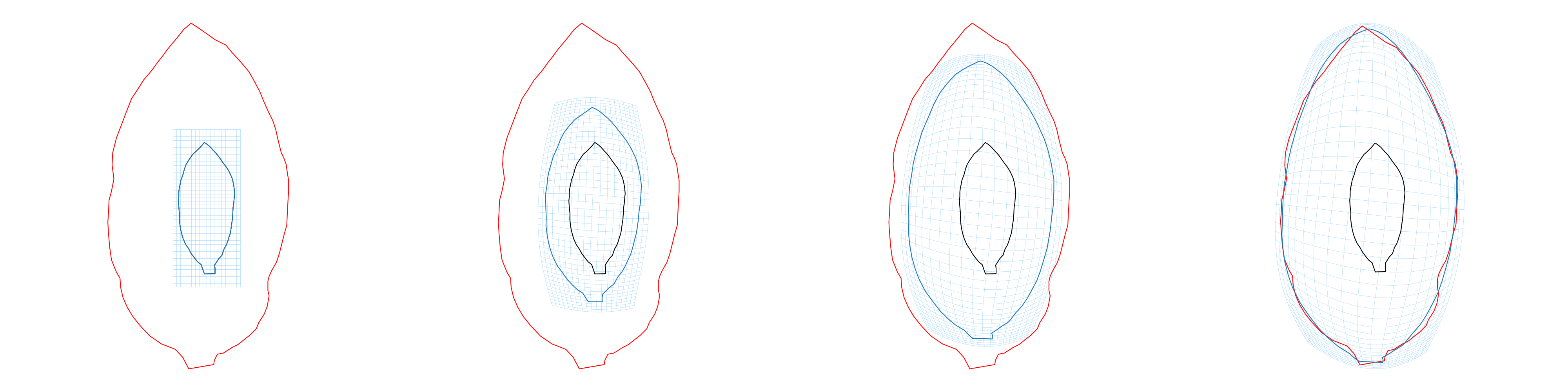 plot leaf basipetal unstructured