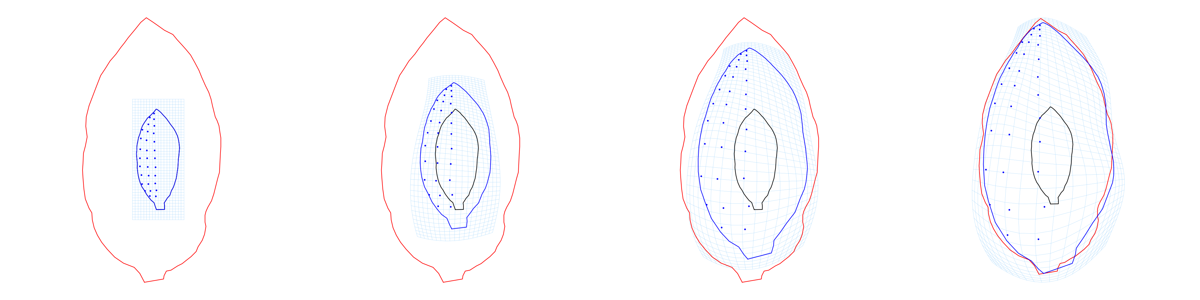 plot leaf basipetal unstructured