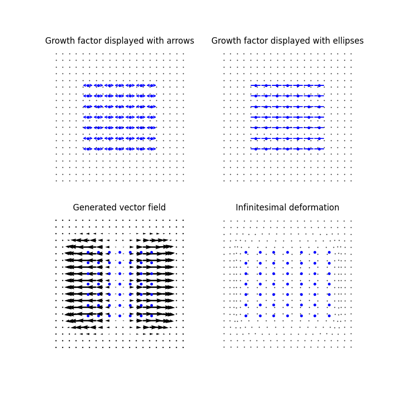 Growth factor displayed with arrows, Growth factor displayed with ellipses, Generated vector field, Infinitesimal deformation