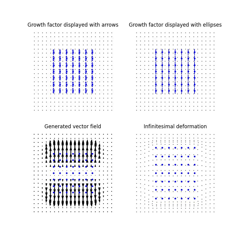 Growth factor displayed with arrows, Growth factor displayed with ellipses, Generated vector field, Infinitesimal deformation