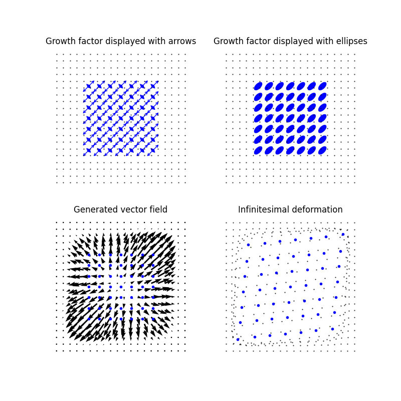 Growth factor displayed with arrows, Growth factor displayed with ellipses, Generated vector field, Infinitesimal deformation