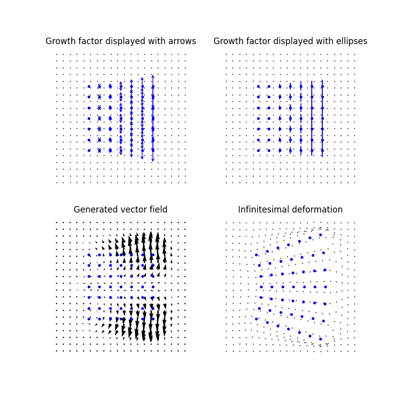 Growth factor displayed with arrows, Growth factor displayed with ellipses, Generated vector field, Infinitesimal deformation